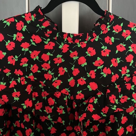 NWOT Zara floral mini dress - long sleeve, ruffle at hem and neck - large - Picture 2 of 4